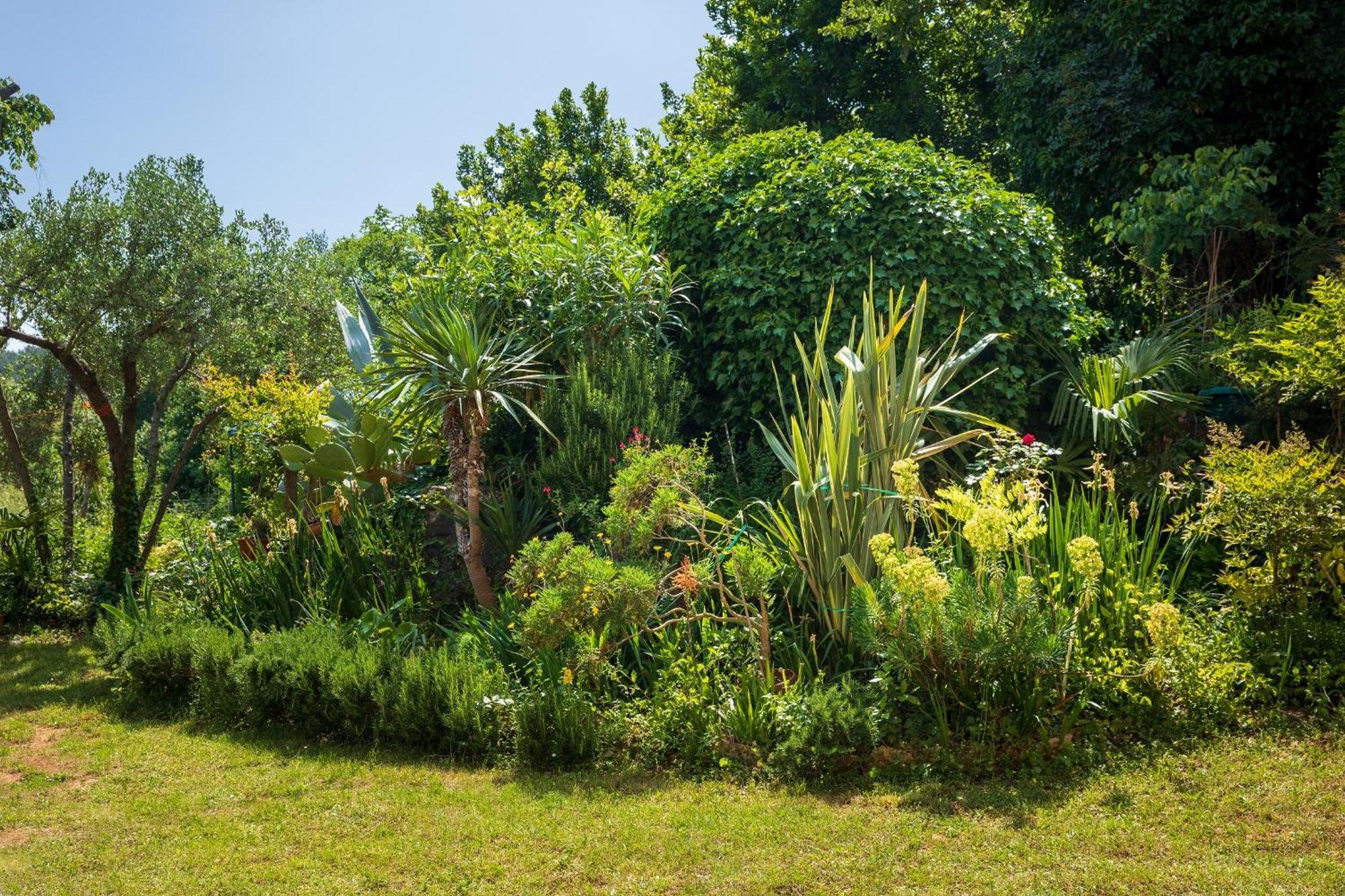 Villa Mareonda - Apartments Sussurro Rovinj Exterior foto